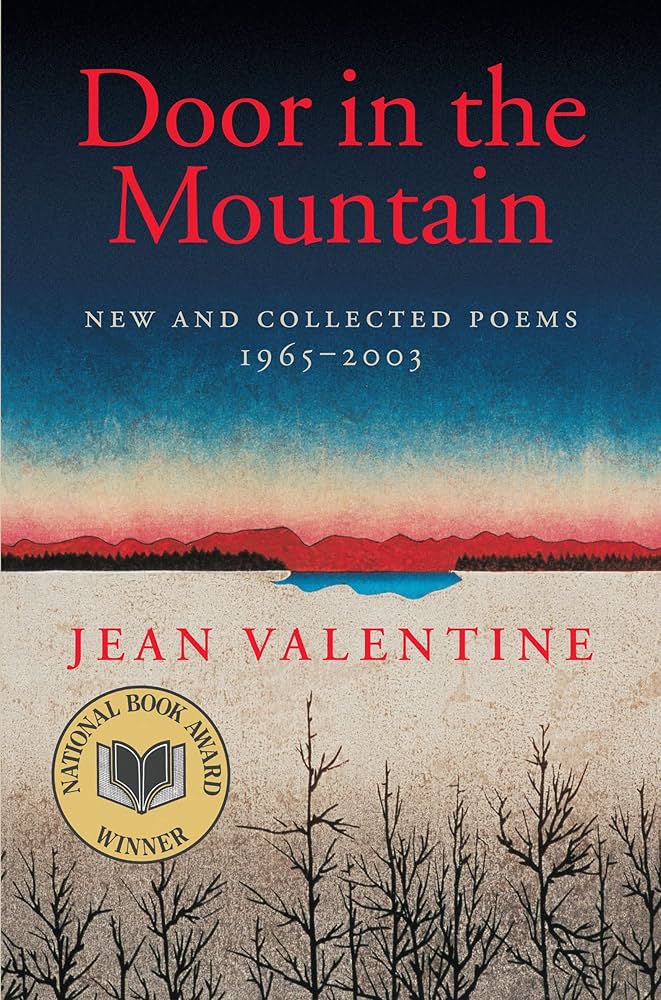Copertina del libro : Door in the mountain