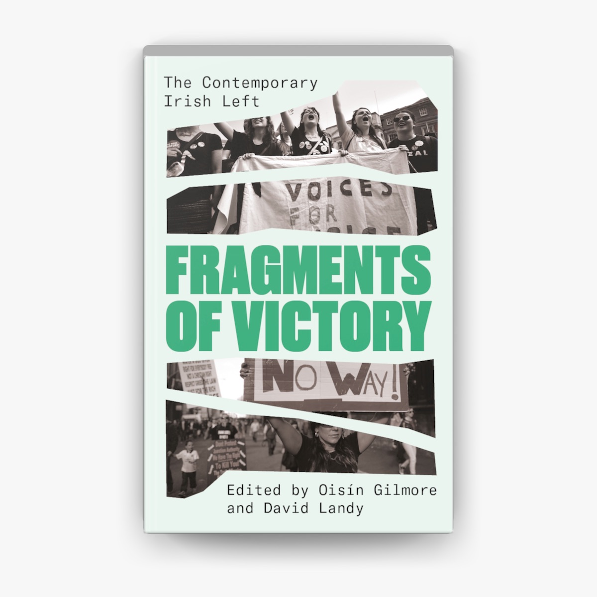 Copertina del libro Fragments of victory
